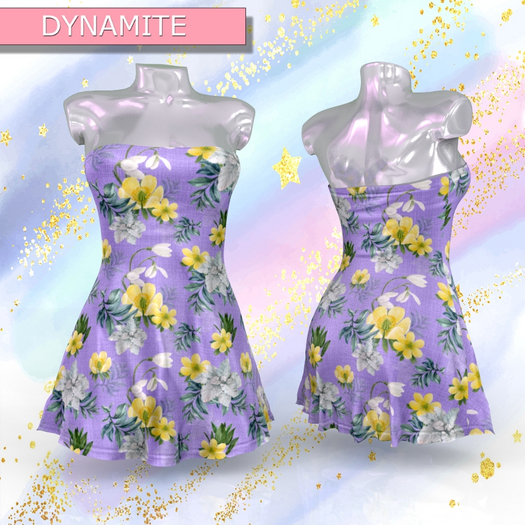 Maitreya Dress
