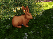 Rabbit Brown with Daffodils light Yellow