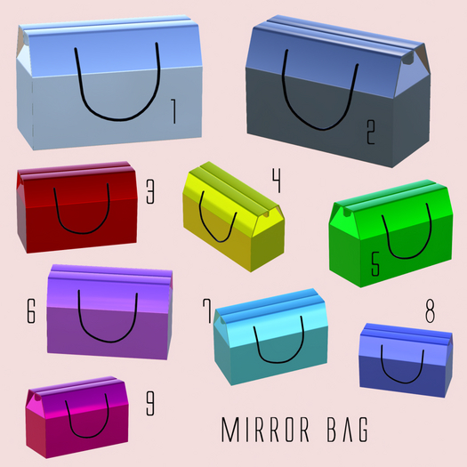 07 ILL Mirror bag