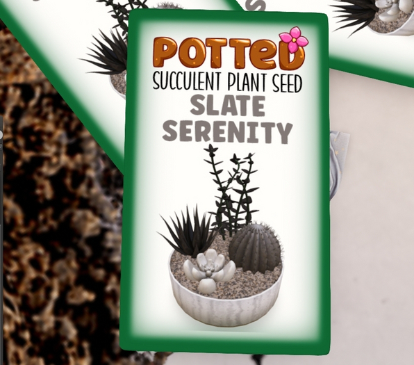 Potted Seed: Slate Serenity