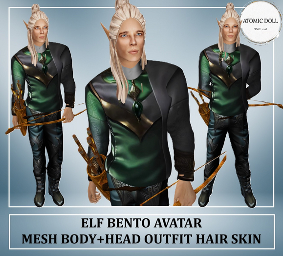 Male Avatar Elf