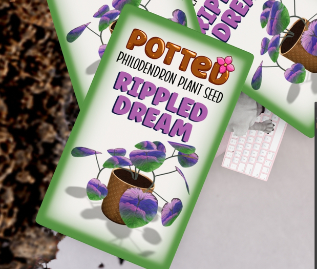 Potted: Philodendron Plant Seed: Rippled Dream