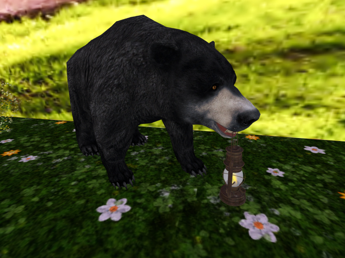 Black Bear with Lantern