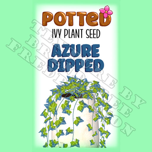 Potted: Ivy Plant Seed: Azure Dipped (ACTUAL PLANT SEED) - Retired!