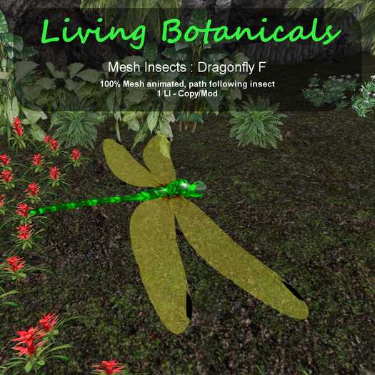 Inochi Botanicals - Dragonfly F