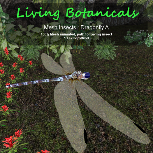 Inochi Botanicals - Dragonfly A