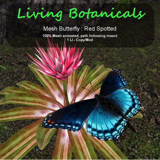 Inochi Botanicals - Butterfly - Red Spotted