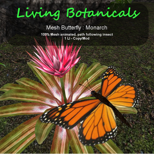 Inochi Botanicals - Butterfly - Monarch