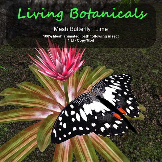 Inochi Botanicals - Butterfly - Lime