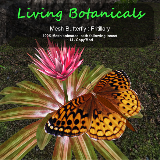 Inochi Botanicals - Butterfly - Fritillary