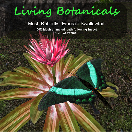 Inochi Botanicals - Butterfly - Emerald Swallowtail