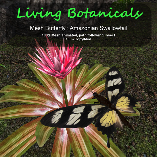 Inochi Botanicals - Butterfly - Amazonian Swallowtail