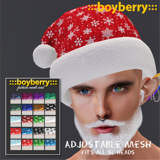 boyberry Santa Hat 24