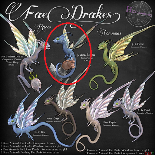 3. *HEXtraordinary* Fae Drake- Arm Percher - RARE