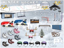 22. Sese & PA - Winter Hockey - Net