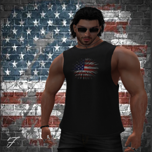 USA Fireworks  MS (Jake)