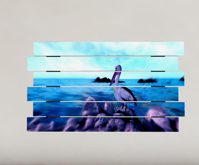 The Pelican