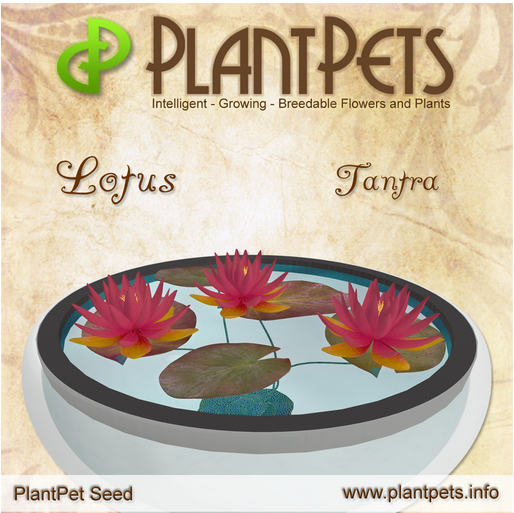 PlantPet Seed [Lotus *Tantra*]