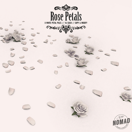 NOMAD // WHITE ROSE PETALS