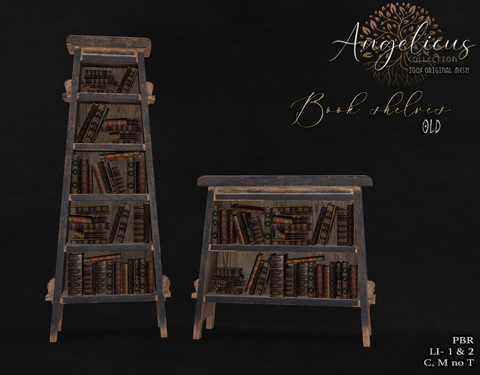 .AngelicUs. old book shelves 