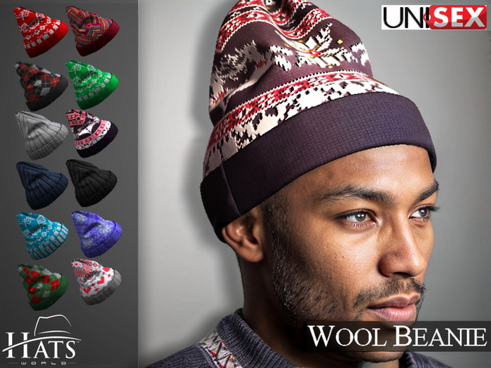 [HW] BEANIE WOOL UNISEX HATS