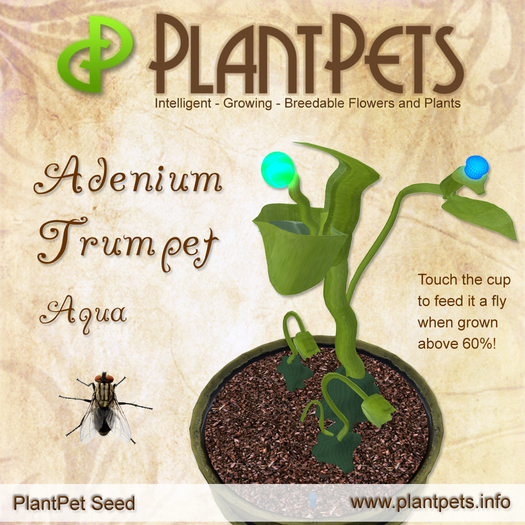 PlantPet Seed [Adenium Trumpet *Aqua*]