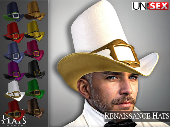 [HW] RENAISSANCE UNISEX HATS