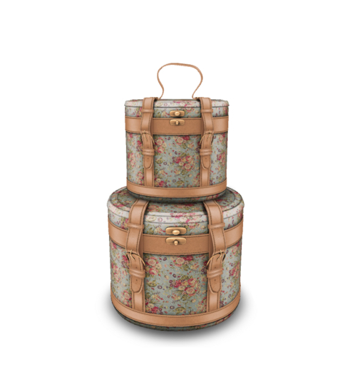 =Zenith=Vintage Leather Trunk - RARE