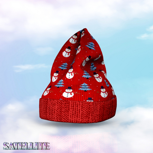 Winter Hat Christmas