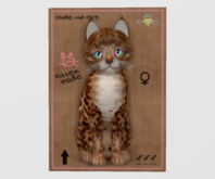 Female Breedable Cat KittyCatS Bengal - Copper Prismatic Kitten