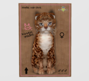 Female Breedable Cat KittyCatS Bengal - Copper Odyssey Bellini