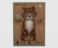 Male Breedable Cat KittyCatS Bengal - Copper Grey Matter Kitten