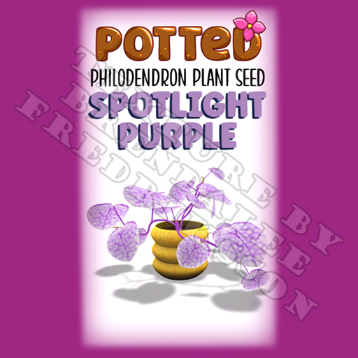 Potted: Philodendron Plant Seed: Spotlight Purple (ACTUAL PLANT SEED) - Retired!