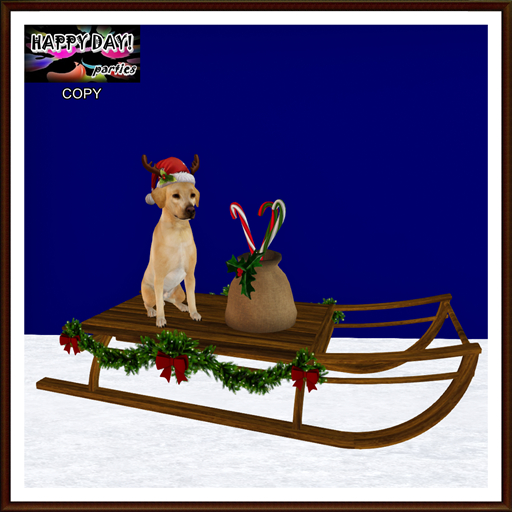 Christmas - Christmas Labrador in Decorated Sled