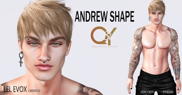 Q&Y ANDREW SHAPE - LELUTKA CAMDEN 4.0