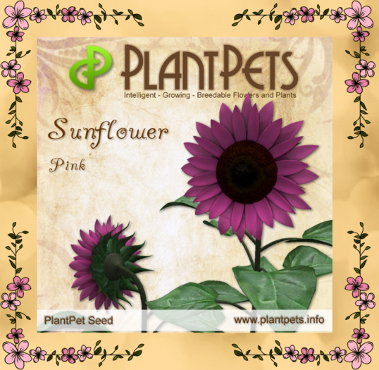 PlantPet Seed [Sunflower *Pink*]