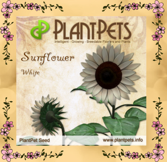 PlantPet Seed [Sunflower *White*]