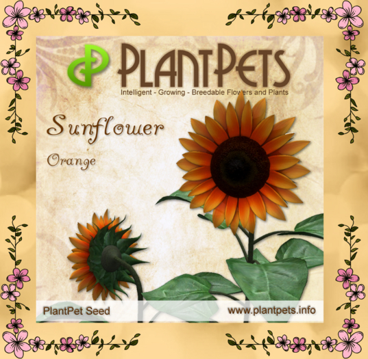 PlantPet Seed [Sunflower *Orange*]