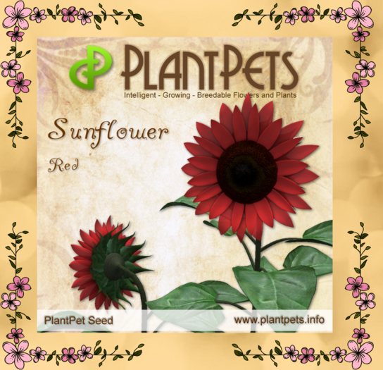 PlantPet Seed [Sunflower *Red*]