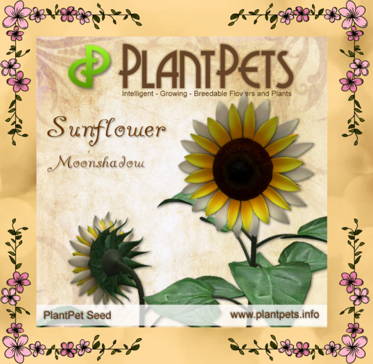 PlantPet Seed [Sunflower *Moonshadow*]