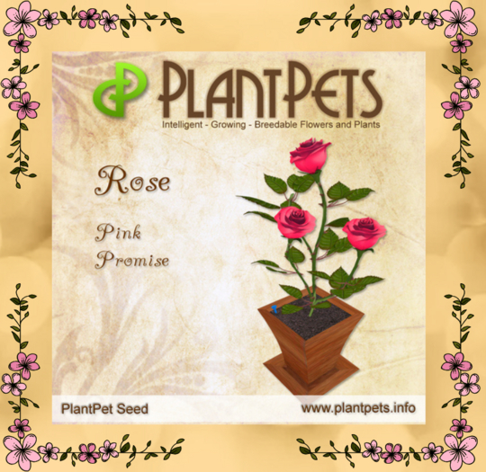 PlantPet Seed [Rose *Pink Promise*]