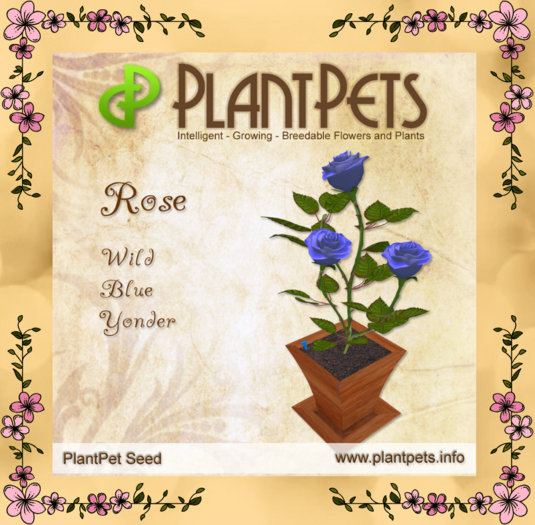PlantPet Seed [Rose *Wild Blue Yonder*]