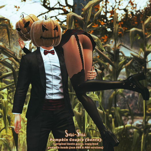 Sari-Sari - Pumpkin Couple 03 (bento)