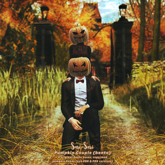Sari-Sari - Pumpkin Couple 04 (bento)