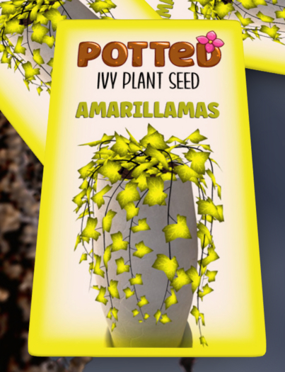Potted: Ivy Plant Seed: Amarillamas