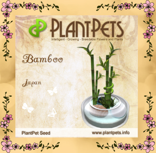 PlantPet Seed [Bamboo *Japan*]