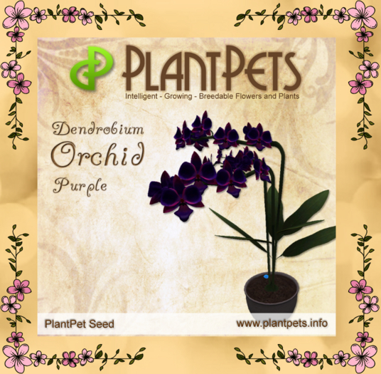 PlantPet Seed [Dendrobium Orchid *Purple*]