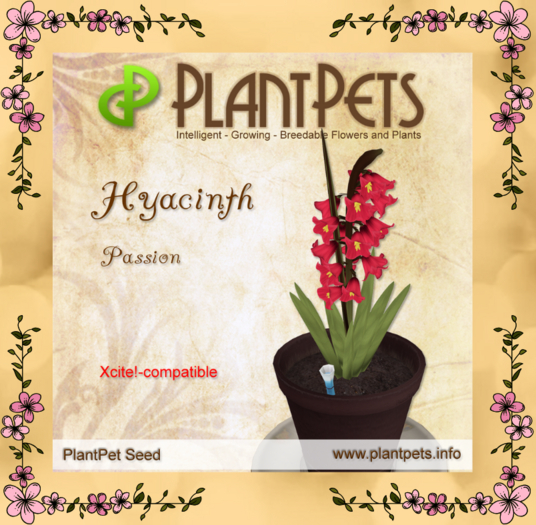 PlantPet Seed [Hyacinth *Passion*]