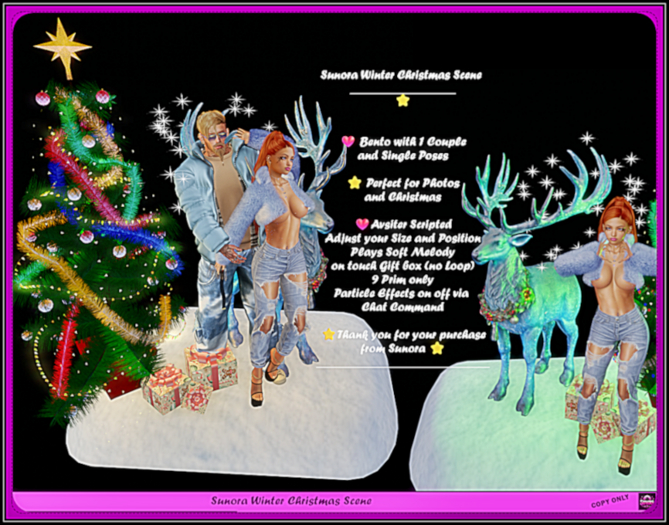 Sunora Winter Christmas Scene