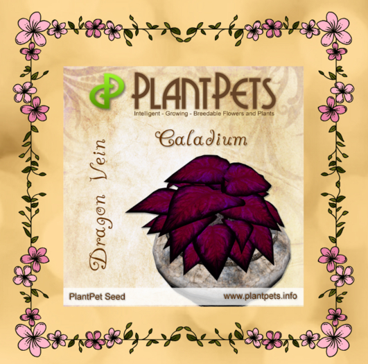 PlantPet Seed [Caladium *Dragon Vein*]